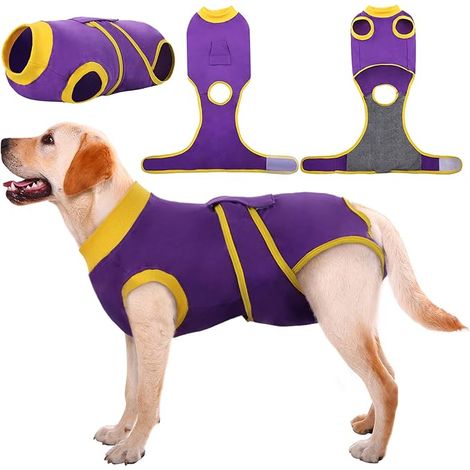 Combinaison de Récupération pour Chien, Protection pour Plaie Abdominale de la Peau, Chiot Chemise Après Chirurgie, Alternative pour Petite Moyenne Grande Chien (1/5)