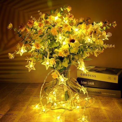 Guirlande Lumineuse à Piles 6 Mètres 40 LED Blanc Chaud 2 Modes pour Décoration Intérieure Noël Mariage Anniversaire Fête (1/4)
