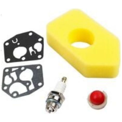 Kit bougie d'allumage et filtre à air compatible référence 795469, kit entretien moteur jardin
