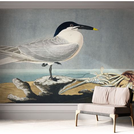 Selbstklebende Tapete modern Wohnzimmer - Wanddeko Schlafzimmer - Tapete mit Motiv Ornithologische Eleganz 312x219 cm