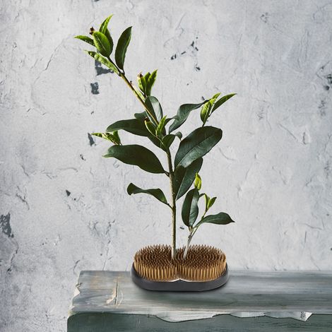 Outil de composition florale Kenzan unique en forme de soleil et de lune, avec aiguilles et épingles de fixation. (1/5)