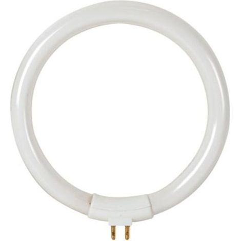 AMPOULE DE RECHANGE DE 12W/T4 POUR VTLAMP8 VELLEMAN LAMP22/8 (1/3)