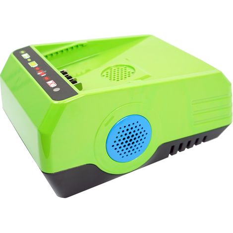 Batteria caricabatteria 60V