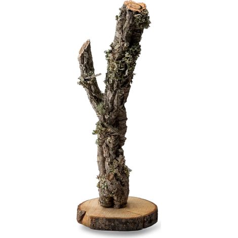 Árbol BioBranch de 30 cm de alcornoque