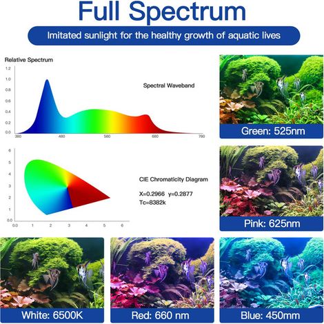 Éclairage LED pour Aquarium Lampe Spectre Complet avec Minuteur et Intensité Réglable pour Plantes Aquatiques et Poissons Support Extensible 30-45 cm Alimentation USB