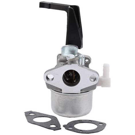 Carburateur Briggs&Stratton 696065 697422 pour tronçonneuse 110402-0206-E1 (1/4)