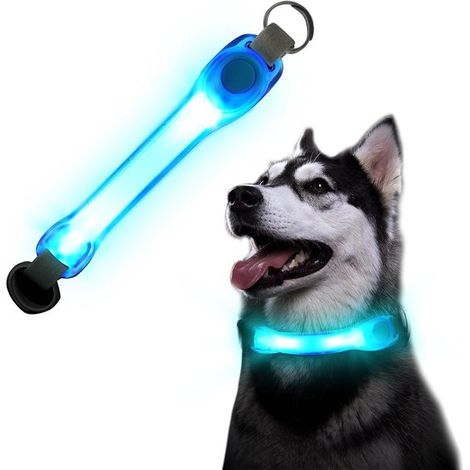 Collier lumineux LED bleu pour chien - Bleu - Lampe pour chien - Éclairage de sécurité (1/5)
