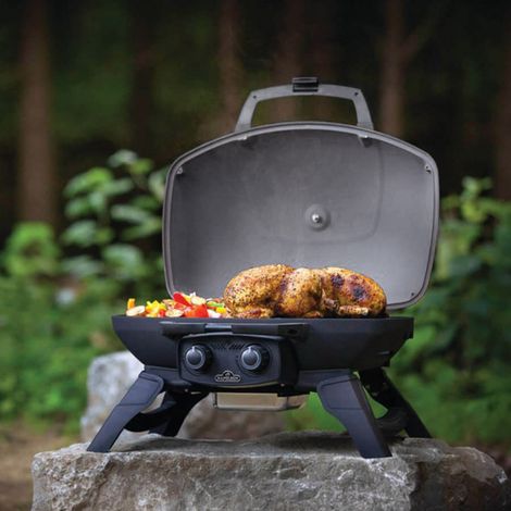 Pack Barbecue à gaz TravelQ 285 + Plancha (1/5)