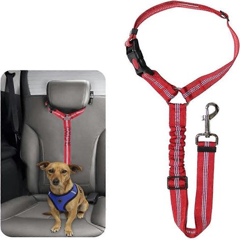 Ceinture de sécurité pour chien avec collier réfléchissant en nylon (1/4)