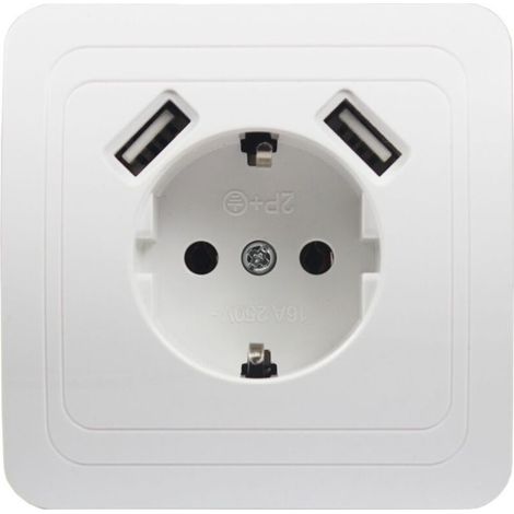 Enowelir Prise murale universelle pour téléphone, Double Port USB 5V, 2A,Mur européen standard allemand (1/4)