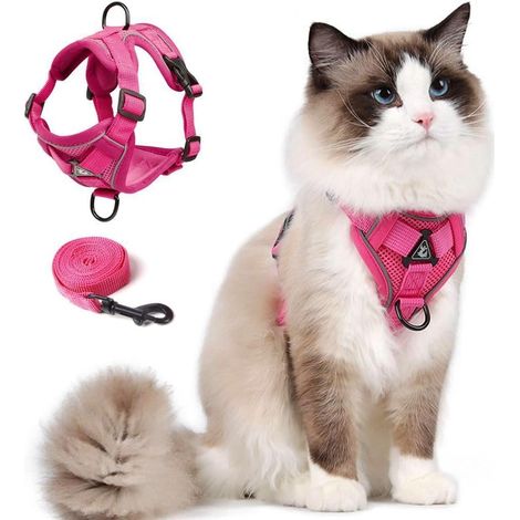 Harnais réfléchissant et anti-évasion pour chat et petit chien, taille M