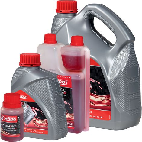 OLIO PROSINT 2 EVO 2 TEMPI TANICA 5 LT