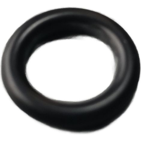 Karcher - sello torácico 10x2,8 - 90804550 - 4039784916098