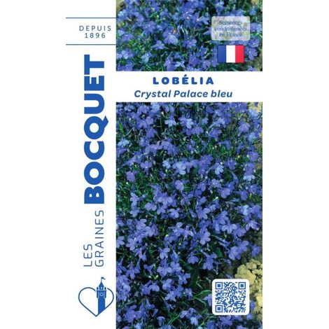 Lobélia Crystal Palace bleu - 0,3g