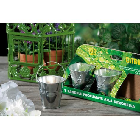 Citronella c secchiello set 3 pezzi 7 cm ad