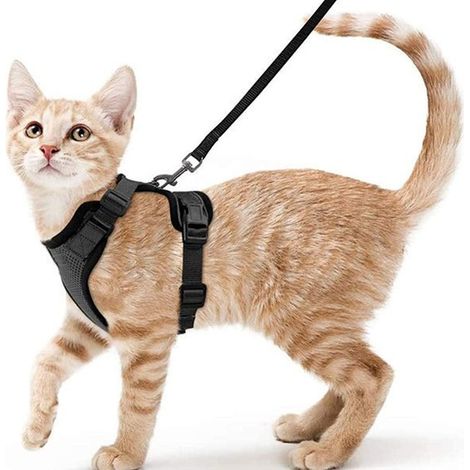 Arnés para gatos, perro pequeño, correa ajustable, XS, collar negro, chaleco reflectante transpirable para conejo, gato europeo, Maine Coon, persa, clip superior con correa