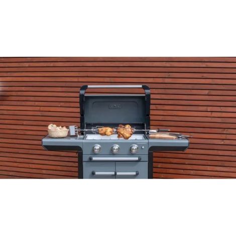 CAMPINGAZ - Asador de Pollos ELECTRICO PREMIUM para Barbacoa (1/4)
