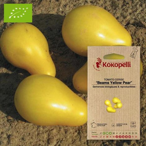 Tomate-Cerise Beams Yellow Pear