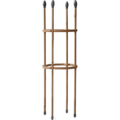 Tuteur pour Plantes Trellis Garden Support Piquet Métal Plastifié Anti-Corrosion 75cm/90cm Hauteur Kit 1 Support Jardins Fleurs Cucumber Tomato (1/5)
