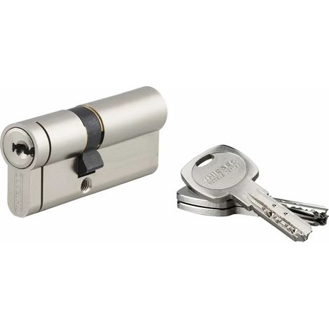 Thirard – Cylindre de serrure profilé 40x40mm – Mécanisme 5 goupilles – Protection anti-perçage et anti-snap – 3 clés plates
