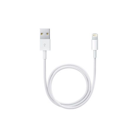 Apple Maschio USB Tipo A a 4 pin Maschio Apple Lightning 0,5 m (1/5)