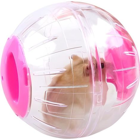 Boule Hamster,boule de gym hamsters,Ballon d'exercice de Course,Mini-Balle de Course Autour du Petit Animal de Compagnie-12cm (1/4)