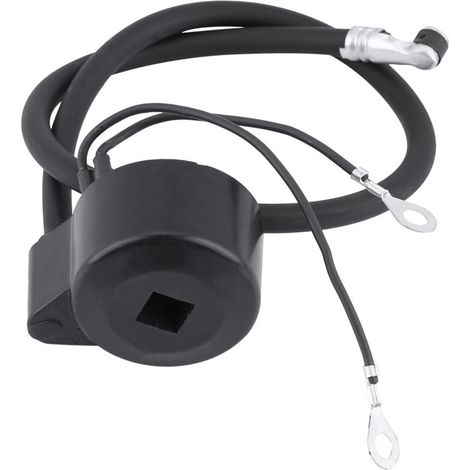 Bobina de encendido negra original para motores de la serie VM H – Número de pieza 29632 (1/5)