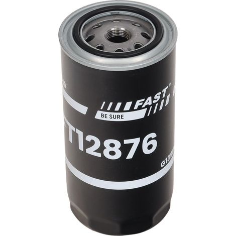 Filtro de combustible rápido FT12876 (1/4)