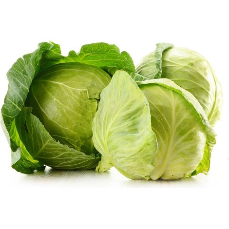 Semi di Cavolo Cappuccio di Brunswick piante per orto e giardino