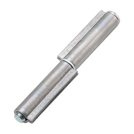 CERNIERA 2 ALI A SALDARE 100PZ COMBI - ZINCATA PERNO E RONDELLA SFILABILE MM 170- 12 pezzi