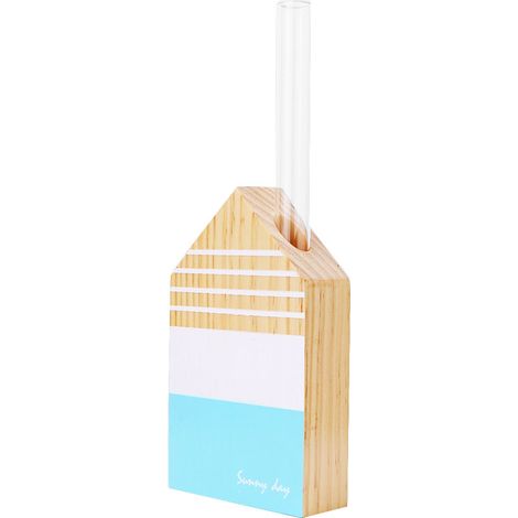 Petit vase à fleurs en verre, style rustique, en forme de tube à essai (TT-06 version anglaise) (1/3)