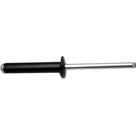 250 Rivets Aveugles Etoilés Tête Ronde GOLIGHT TRS 4 x 20 mm - Aluminium/Aluminium RAL NOIR - D-Work