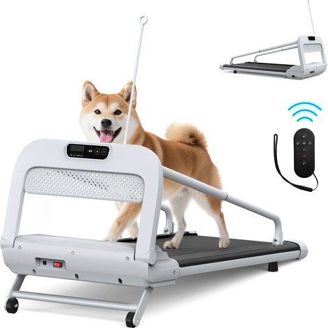 Cinta de correr para perros con velocidad regulable, silenciosa, plegable, acero, blanco y negro (1/5)