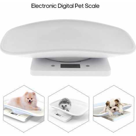 Balance électronique d'affichage d'affichage à cristaux liquides de petite balance de chat de chien de compagnie de 10kg (1/5)