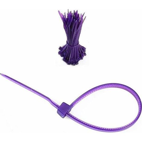 100x plastic hose clamps 2.5x100mm purple serrated for 22mm diameter, oil and petrol resistant, cable tie, tube/hose fixing, nylon, universal