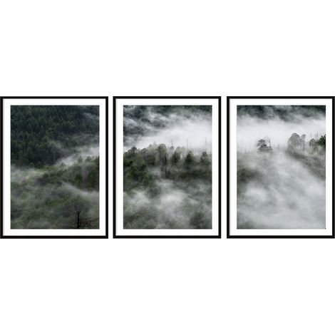 POSTER FOTOGRAFICO IN CORNICE 33x43cm Trittico Set di 3 dipinti Foresta Nero Bianco P2034 (1/3)