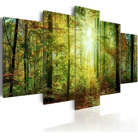 Quadro - Wild Forest - 200x100 (1/4)