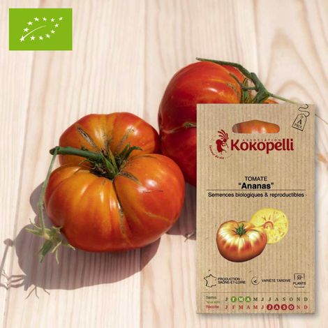 Tomate Ananas- Graines bio à semer