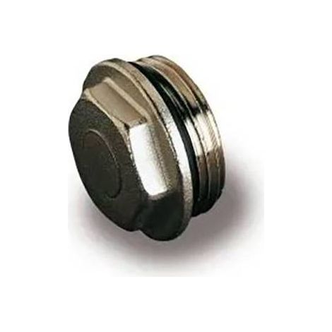 Tappo cieco con guarnizione o-ring.(DianFlex) Misura: 1/2
