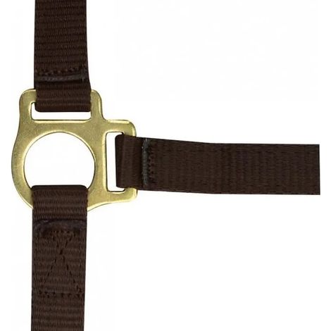 Cabestro y cuerda Norton halfter und führstrick duradero ajustable (1/2)