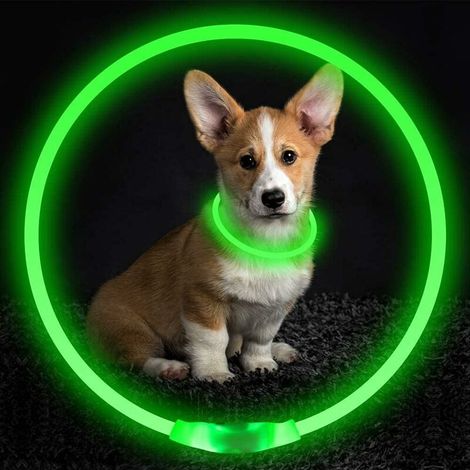 LED Dog Collar, USB Rechargeable, Light Up Dog Collar, Night Safety, Stylish Light Up Collar for Small Medium Dogs (1/4)