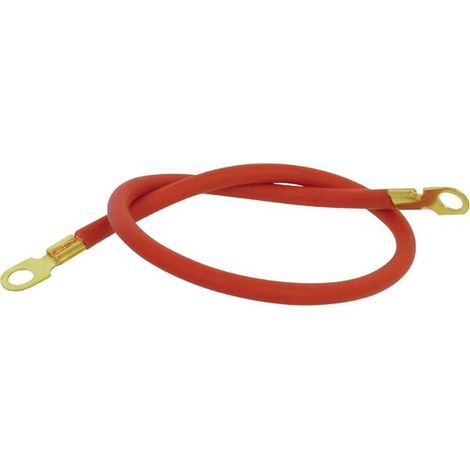 Cable de bater铆a 50 cm UNIVERSAL FGP012070