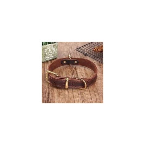 Collier pour chien en cuir véritable XXL – Rembourré en peau de mouton – Boucle en acier inoxydable – Pour Malamute, Golden Retriever, Labrador (1/5)