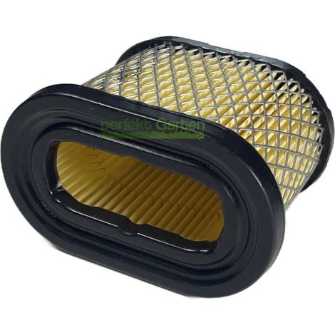 filtre à air pour moteurs Briggs & Stratton B&S 126300 129600 12R500 / 697029 273356 4201 (1/4)