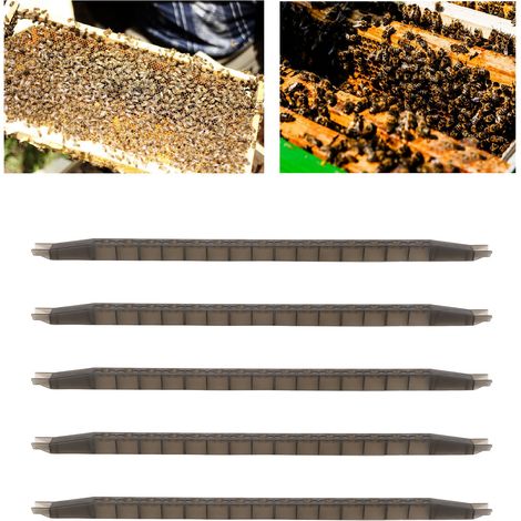 Kit de 5 outils apicoles : bandes de cellules royales américaines, bandes d’élevage de reines à 15 cellules, bandes de gelée royale, base de cellules de gelée royale, support pour bandes d’élevage de (1/5)