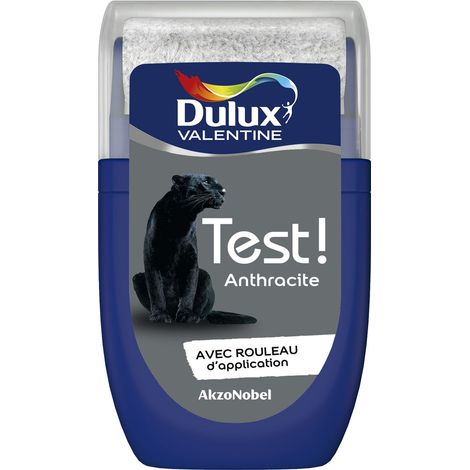 Testeur couleur Anthracite 30 mL - Peinture Dulux Valentine