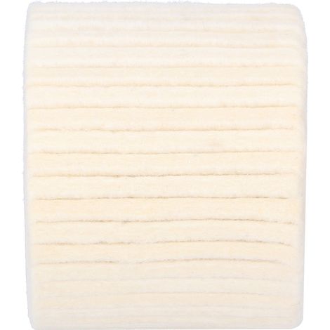 Roue de polissage en feutre de laine pour acier inoxydable 120 x 100 mm (1/5)