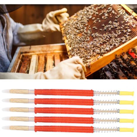 25 pièces Aiguilles de greffe de larves d'apiculture Outil d'élevage de reine des abeilles Équipement d'apiculture,DUBUNS