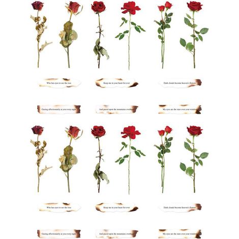 12 Bögen Rosenblüten-Aufkleber, rote Rosen, grüne Blätter, starke Klebekraft, dekorative Blumenaufkleber für Scrapbooking (1/5)