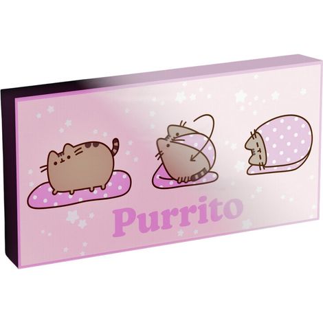 Lienzo con Luz Pusheen